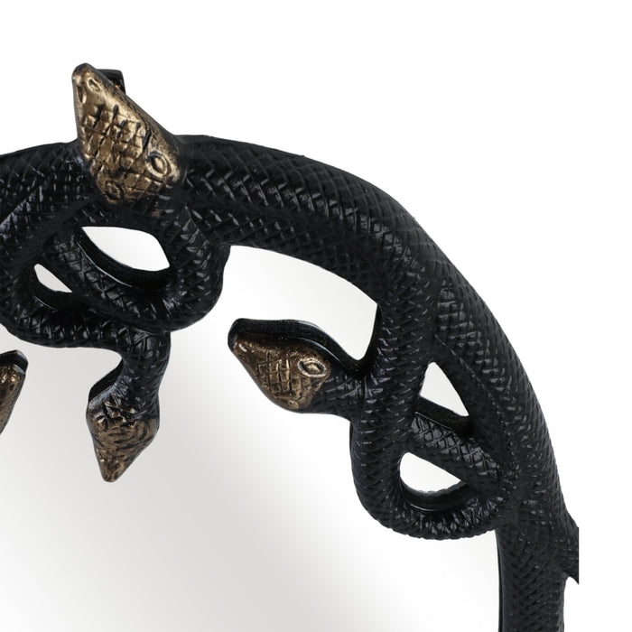 28x22-snake-mirror-blk-gld-5