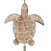 29x6-sea-turtle-with-shells-chime-brown-5