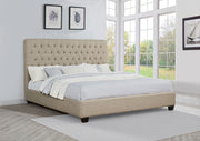 Chloe Panel Bed - Furniture City (CA)l
