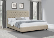Chloe Panel Bed - Furniture City (CA)l