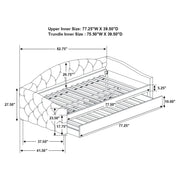 Sadie Daybed with Trundle - Furniture City (CA)l