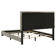 Dorian Panel Bed - Furniture City (CA)l