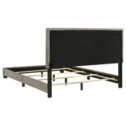 Dorian Panel Bed - Furniture City (CA)l