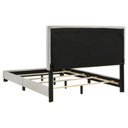 Dorian Panel Bed - Furniture City (CA)l