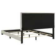 Dorian Panel Bed - Furniture City (CA)l
