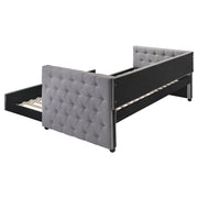 Mockern Daybed with Trundle - Furniture City (CA)l