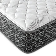 Hayes Firm Tight Top Hybrid Mattress - Furniture City (CA)l