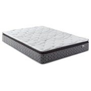 Hayes Medium Plush Pillow Top Hybrid Mattress - Furniture City (CA)l