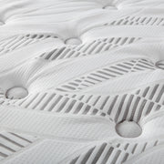 Hayes Medium Plush Pillow Top Hybrid Mattress - Furniture City (CA)l