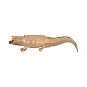 36-metal-alligator-table-top-decor-gold-6