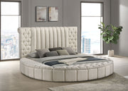 Sonya Panel Floor Storage Bed - Furniture City (CA)l