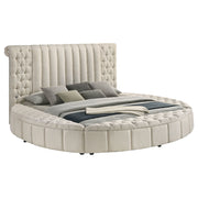 Sonya Panel Floor Storage Bed - Furniture City (CA)l