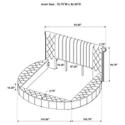 Sonya Panel Floor Storage Bed - Furniture City (CA)l