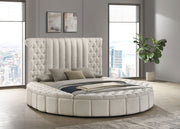 Sonya Panel Floor Storage Bed - Furniture City (CA)l
