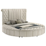 Sonya Panel Floor Storage Bed - Furniture City (CA)l