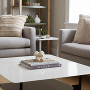 4-onyx-marble-jack-ivory-11