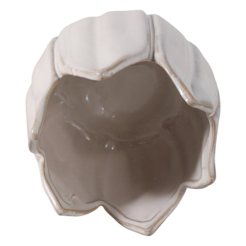 4-tulip-pencil-cup-ivory-5