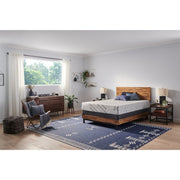 Murry Hill Foam Mattress - Furniture City (CA)l