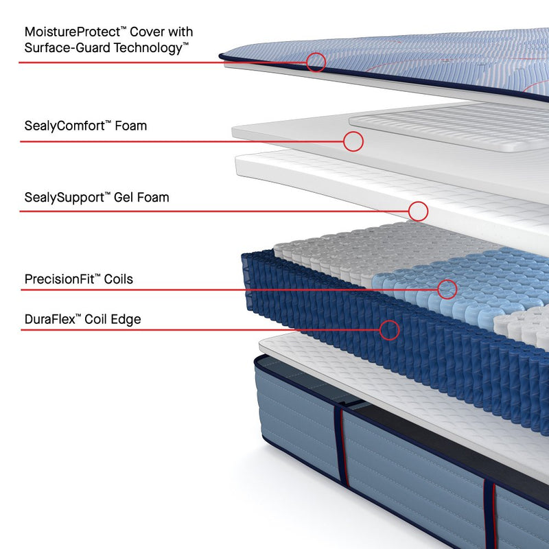 Sealy Paterson II Spring Mattress - Furniture City (CA)l