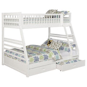 Ashton Bunk Bed - Furniture City (CA)l