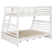 Ashton Bunk Bed - Furniture City (CA)l