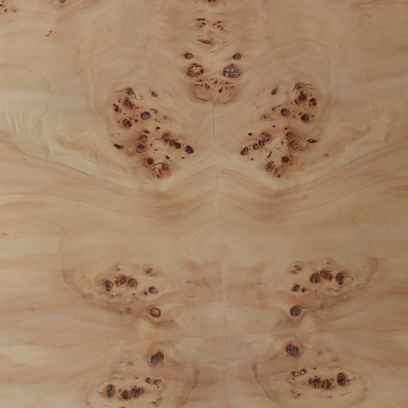 47x24-rectangular-burl-wood-coffee-table-tan-6