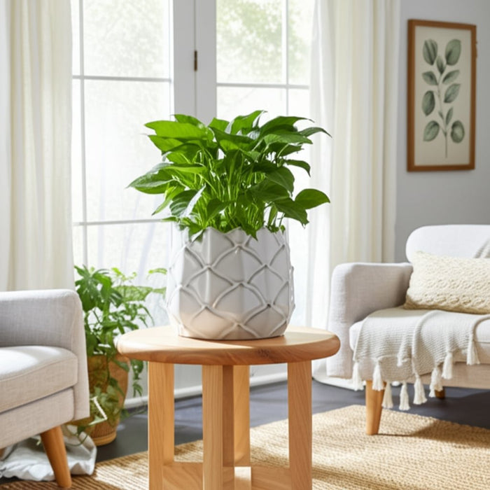 5-artichoke-planter-white-14