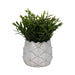 5-artichoke-planter-white-2