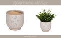 5-blue-flowers-planter-ivory-blue-13