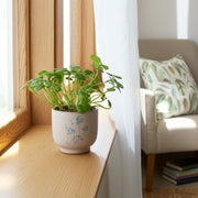 5-blue-flowers-planter-ivory-blue-9