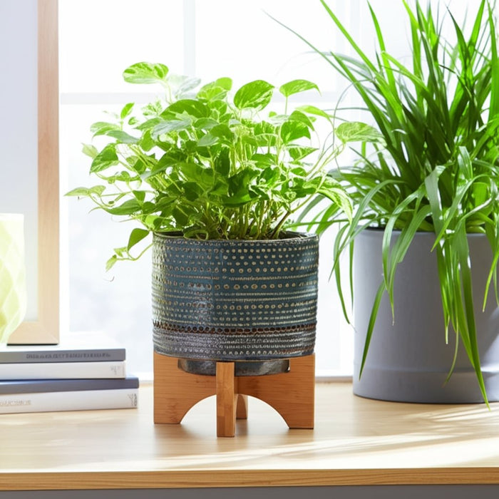 5-dotted-planter-w-wood-stand-green-12