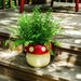 5-mushroom-planter-white-red-6