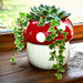 5-mushroom-planter-white-red-7