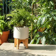 5-planter-w-wood-stand-matte-beige-12