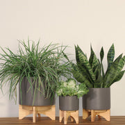 5-planter-w-wood-stand-matte-gray-11