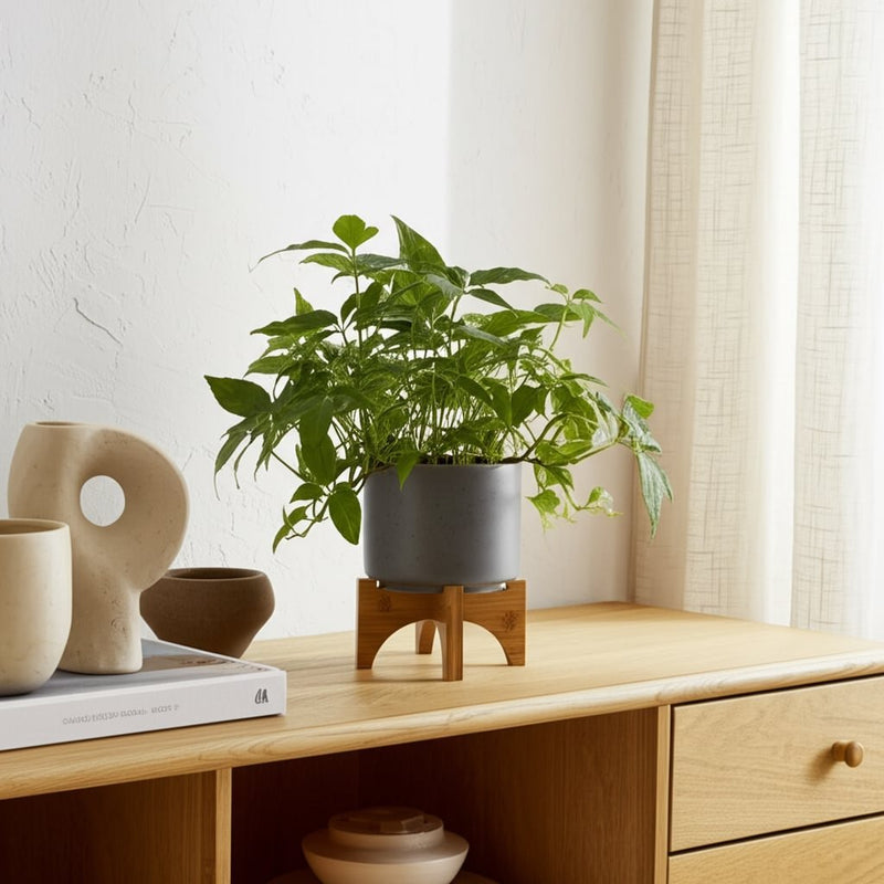 5-planter-w-wood-stand-matte-gray-12