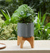 5-planter-w-wood-stand-matte-gray-14