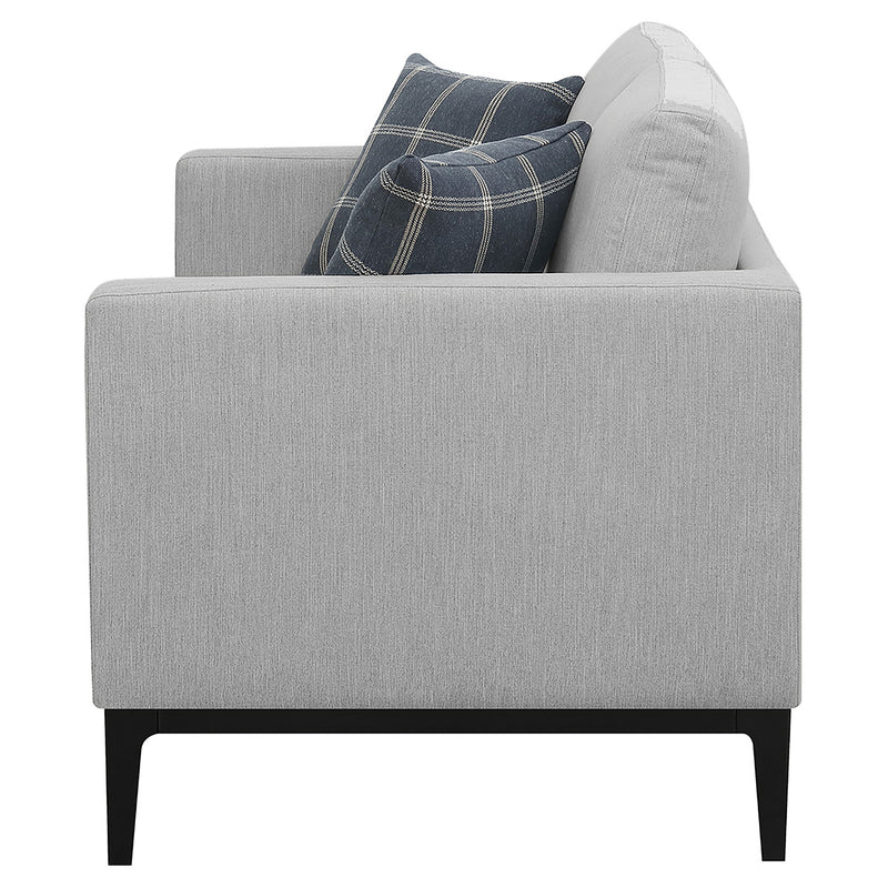 Apperson Loveseat - Furniture City (CA)l