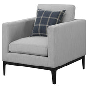 Apperson Accent Chair - Furniture City (CA)l