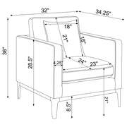 Apperson Accent Chair - Furniture City (CA)l