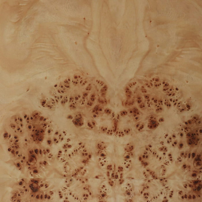 53-rectangular-ottoman-with-burl-wood-table-ivor-6