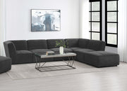 Sunny Modular Sectional Sofa - Furniture City (CA)l