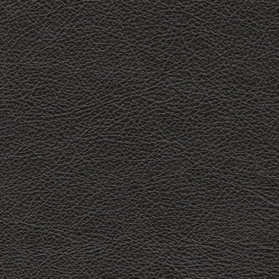 Amiata Sofa - Furniture City (CA)l