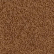 carianna-ottoman-6