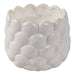6-28-oz-pink-beach-seashell-candle-ivory-2