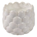 6-28-oz-pink-beach-seashell-candle-ivory-4