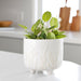 6-blooming-branches-planter-ivory-12