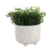 6-blooming-branches-planter-ivory-2