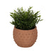 6-bubble-planter-natural-2