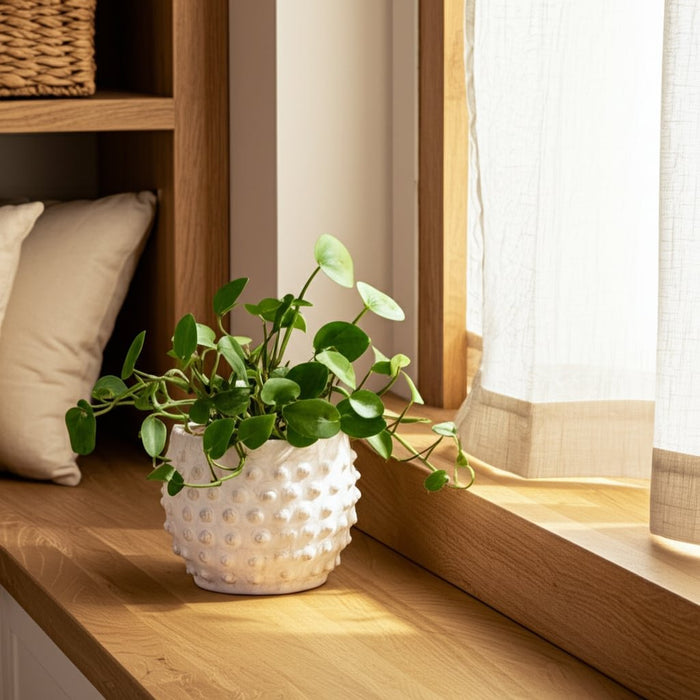 6-bubble-rough-finish-planter-white-9